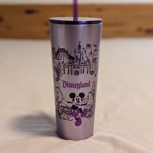 Starbucks Disneyland Stainless Steel Tumbler Straw Icons Attractions | NIB
